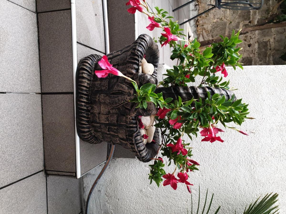 Lemon Tree Hotel Donji Seget Exterior foto